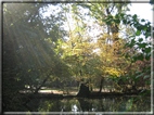 foto Parco Sebellin in Autunno